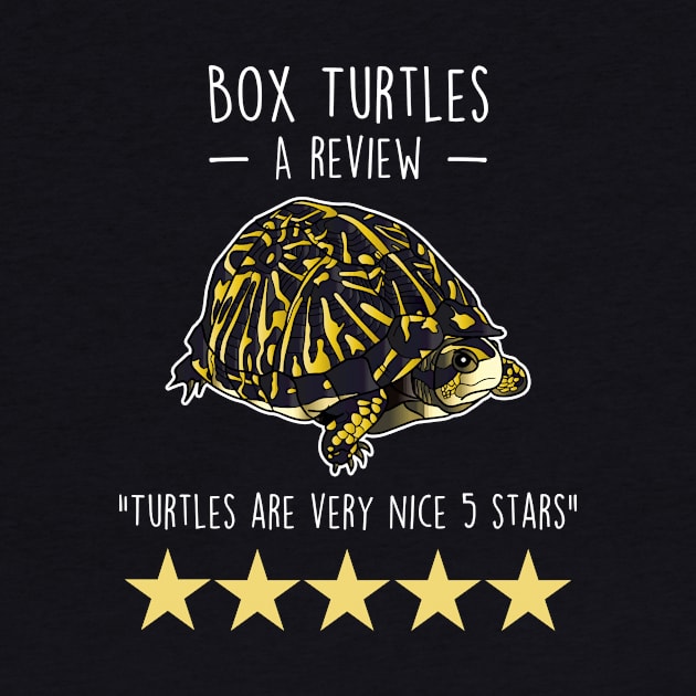 Box Turtle Review by Psitta